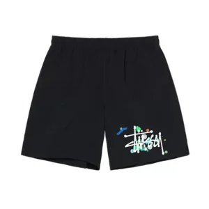 Stussy Shorts Homey