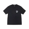 Stussy Rasta Lion T Shirt